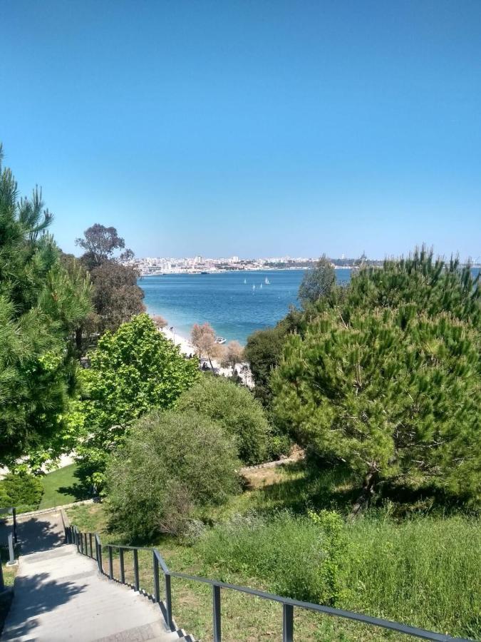 Setubal Downtown Todi I Daire Dış mekan fotoğraf